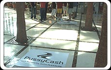 PussyCash was everywhere. You couldnt take a step without seeing us