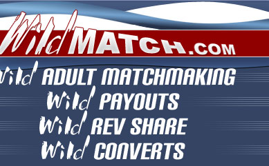 Introducing WildMatch